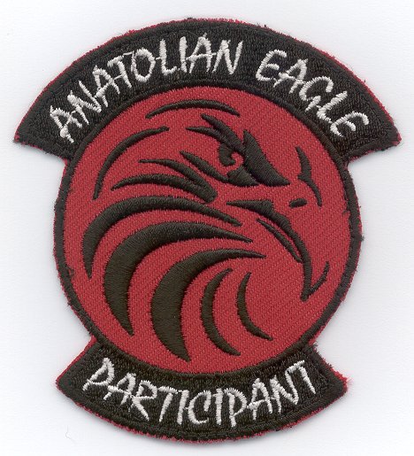 Ex_ Anatolian Eagle Participant patch.jpg