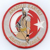 Anatolian Eagle patches
