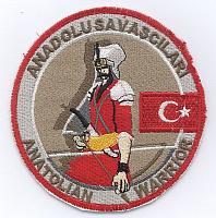 TuAF Exercise Anatolian Eagle_ Anatolian Warrior patch.jpg