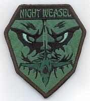 14th FS Night Weasel.jpg