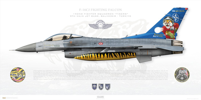 F-16-009-W1
