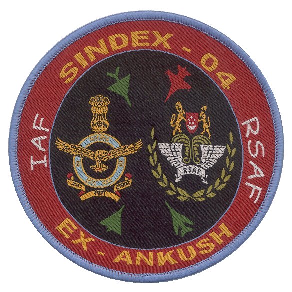 Sindex - 04_ Ex - Ankush patch.jpg