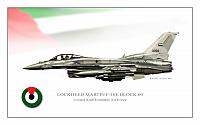 F16E UAE profile