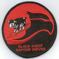 8th FS Black Sheep Raptor Driver swirl.jpg